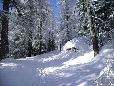 Kopie von PICT0037.JPG