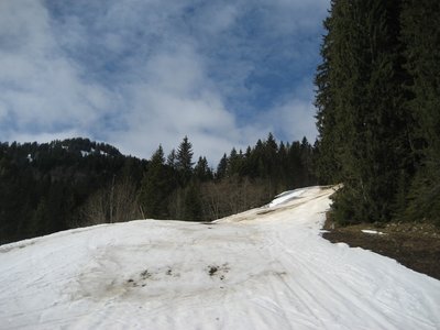 Ende der Grünseeabfahrt Waldschneise