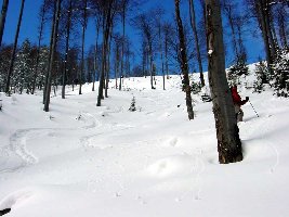 Tiefschneehang Richtung Tal