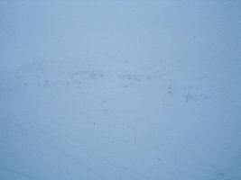 so sah es oberhalb 1800 hm die meiste Zeit aus