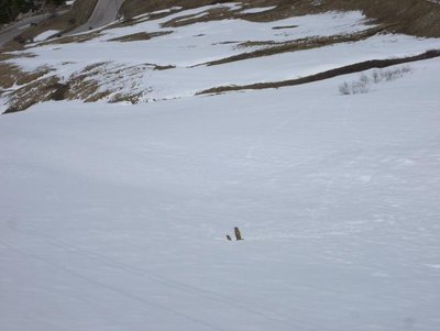 weiter geht's in Richtung Hotel Pordoi, vorbei an Murmeltierfamilien.