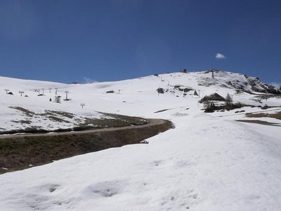 nun geht es auf den weiten Firnfeldern des Belvedere bis Pecol
