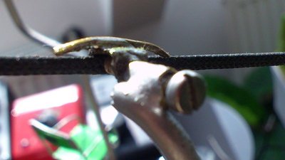 Herzbullialm Wochenbetrieb mit Herrn Pfarrer (18).jpg