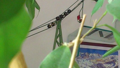 Herzbullialm Wochenbetrieb mit Herrn Pfarrer (29).jpg