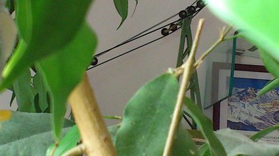 Herzbullialm Wochenbetrieb mit Herrn Pfarrer (30).jpg