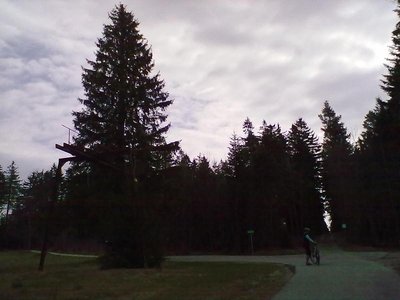 Oberer Teil Waldhornlift