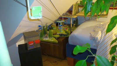 Herzbullialmnews 02.06 (2).jpg