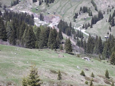 annähernd die gesamte Trasse