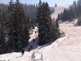 Ungewohntes Bild: Sämtliche Bügel am BSL Ruvine sind besetzt.
<br />Die Piste rechts ist manchmal ziemlich überlastet. Momentan hat es gerade sehr wenig Leute.