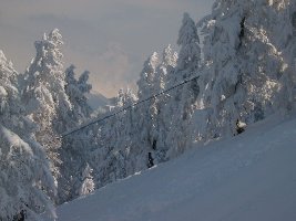 unterwegs auf der strecke - mitten durch  schneepyramiden, die im sommer bäume sind.