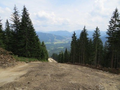 Lifttrasse / Piste ?