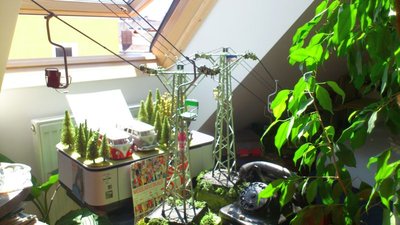 HerzbulliaLmlift August 2013 (3).jpg