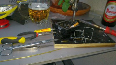 Hitze auf der Herzbullialm  (143).jpg