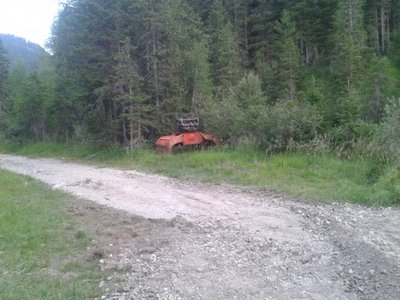 Baumzange steht schon bereit!