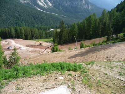 Selber Standort: Blick talwärts.