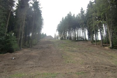 Rodung links (von unten gesehen) am oberen Teil der roten Piste