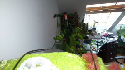 LSAP -die erste HBABRegion.Umbau auf STEURER ESL Epoche 1967 (8).jpg