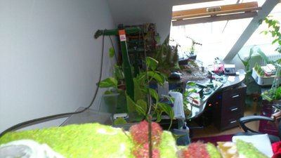 LSAP -die erste HBABRegion.Umbau auf STEURER ESL Epoche 1967 (9).jpg