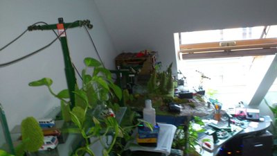 LSAP -die erste HBABRegion.Umbau auf STEURER ESL Epoche 1967 (12).jpg