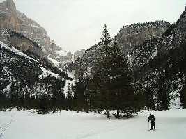 Ziehweg weiter unten; Blick zurück zu den schönen Hängen entlang der steilen Felswände (Bildmitte)