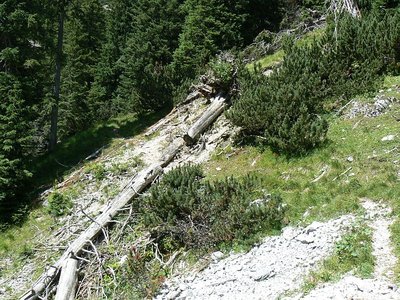 Zeichen des letzten Sturmes