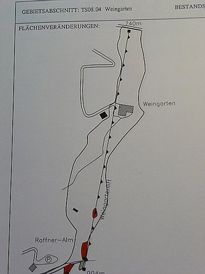 Die Trasse des Weingartenlifts