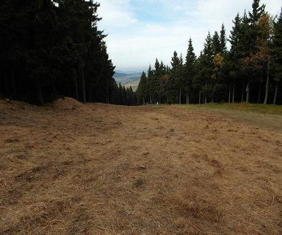 Pistenkorrektur Piste "Damska"