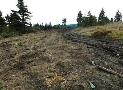 gleicher Ziehweg, nur Blick von Nord nach Süd