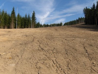 Im mittleren Bereich der roten 4