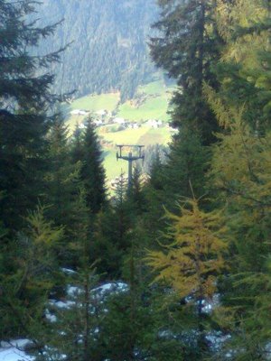 Die Stützen im Wald stehen noch ...