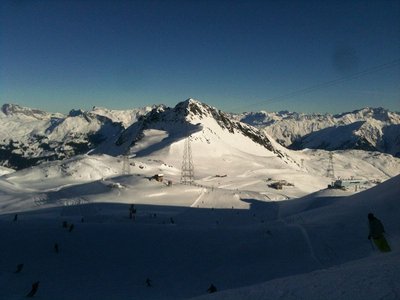 das grosse Krabbeln!