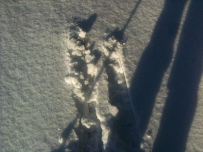 natürlich lief es nicht so gut wie gewöhnlich...