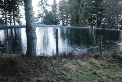 Teich fast am überlaufen