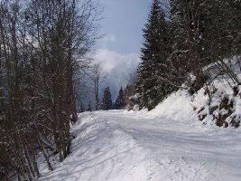 Skiroute zu Finkenalmbahn