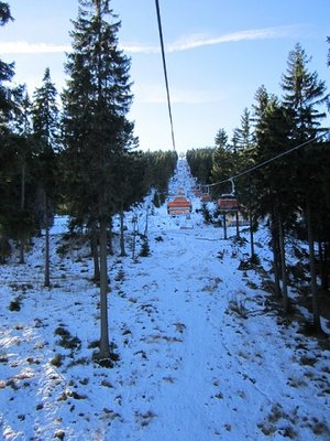 schneelage im wald - harsch