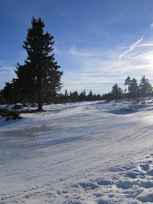 schneise zum neuen jachymovska-lift