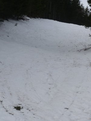 Abschließend noch ein Bild von der geöffneten Sonnkogelabfahrt. Diese Piste hat heute niemand seinem Schibelag zugemutet.