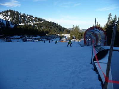 Blick von der Bergstation des ehemaligen Tellerschleppliftes talwärts. Beide Förderbänder im Bild.