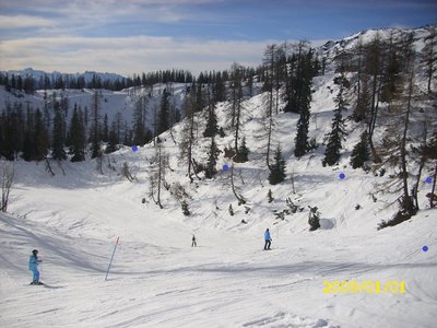 Hier sind blaue Punkte zu sehen. Da ging eine Piste vom Schartenlift zum schlepplift Krallersee.