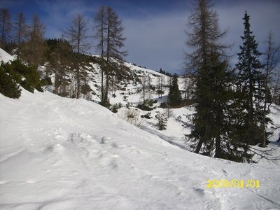 Etwas weiter unten bei dieser.