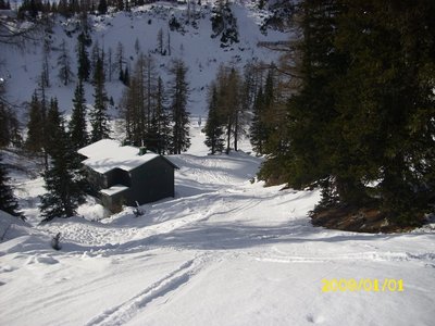 Blick nach unten. Die Piste ging durch die Bäume in der Mitte hindurch.