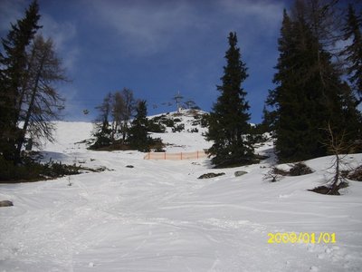 Wieder der Blick nach oben.