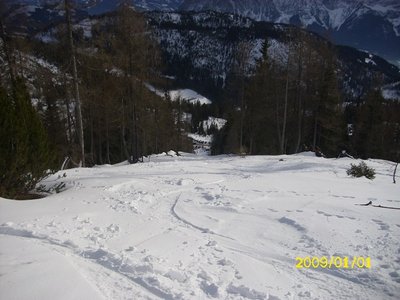 Weiter unten der ehemaligen Trasse.