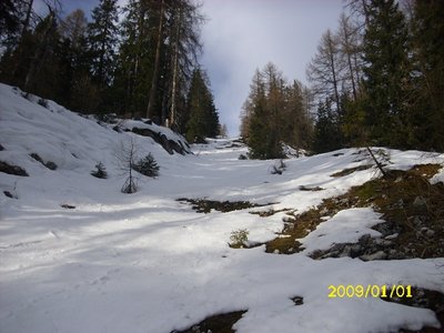 Blick von Stütze 2.