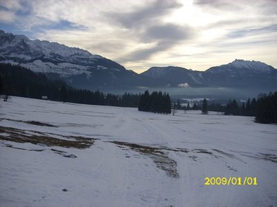 Der erste Teil der Abfahrt war sehr pappig. Ich dachte mir jetzt schon, ich müsste nun viel schieben. Doch vergas den Nebel, der Vormittags noch war. Ab diesem Stück ging es perfekt und ich musste kein einziges mal anschieben.