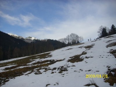 Blick nach oben. Da musste ich das erste mal abschnallen. Sieht man gerade nicht, weil ich am Grünen drauf stand.