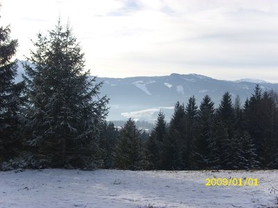 In der Bildmitte auf dieser Alm, ging mal ein Stemag SL rauf was ich weis. DEn sah ich noch, als er in Betrieb war. Auch schon leider weg und wollte noch Fotos machen. Nun zu spät.