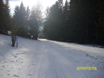 Blick nach unten. Bei den Bäumen was auch so Ähnlich.